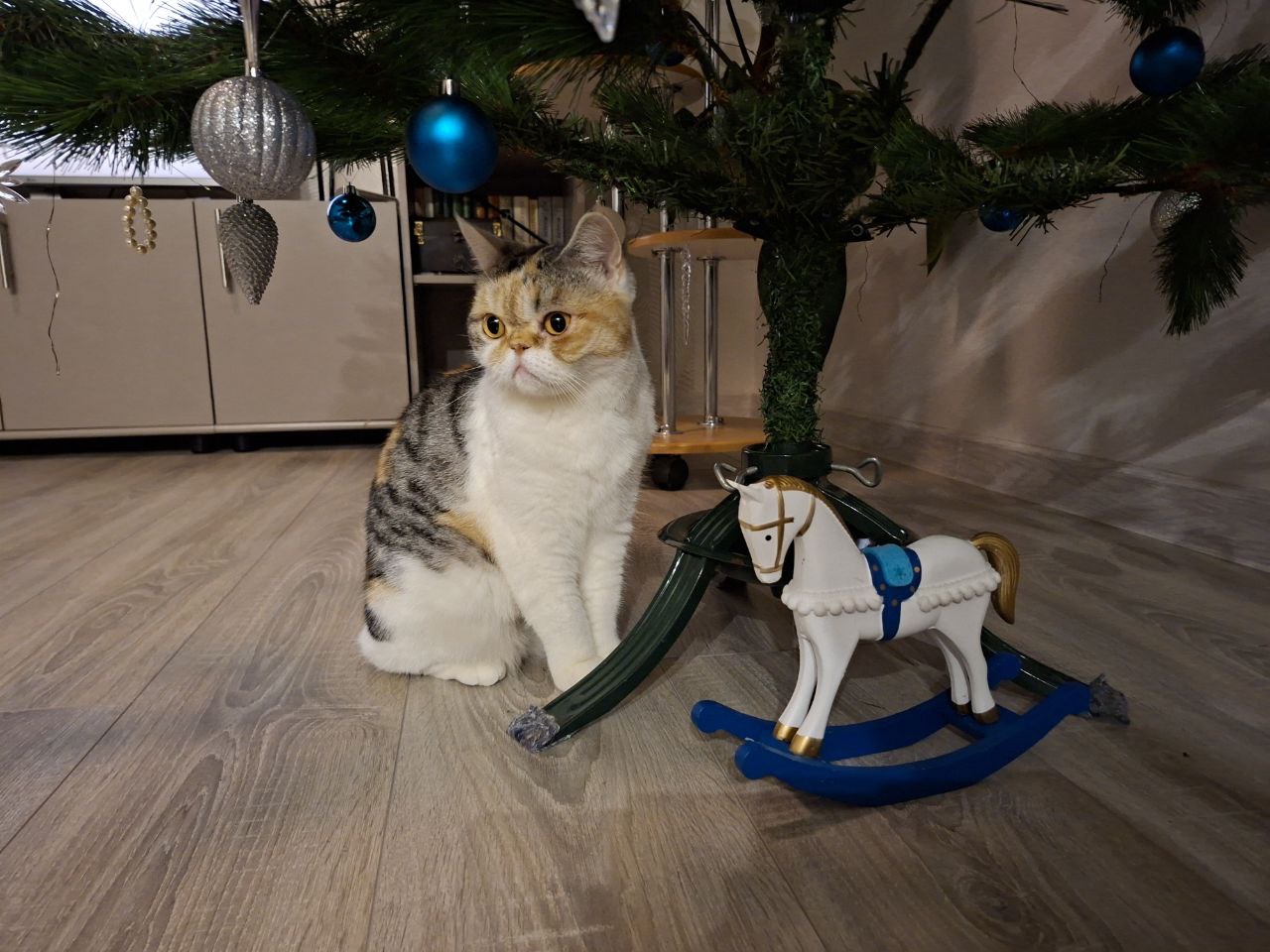 Кассиопея